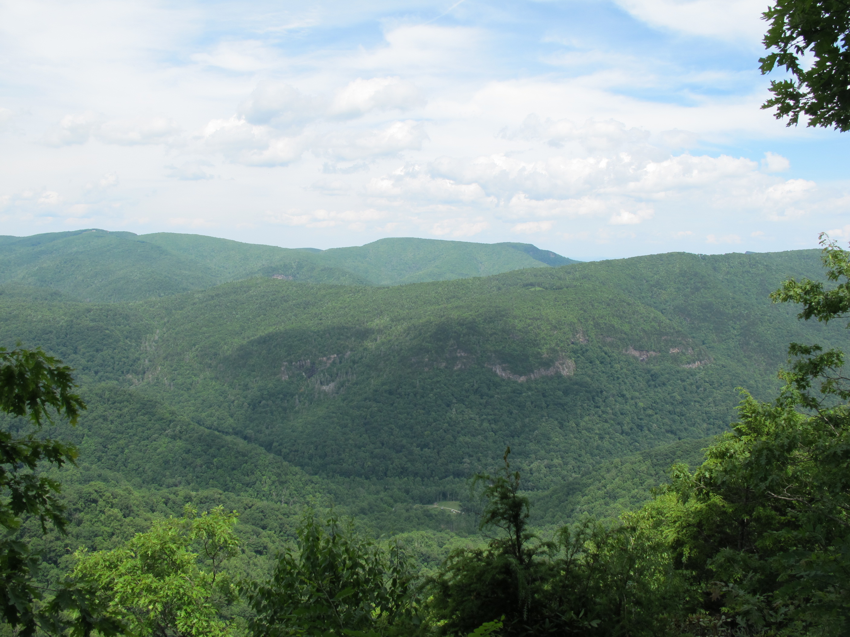 IMG_5718.JPG