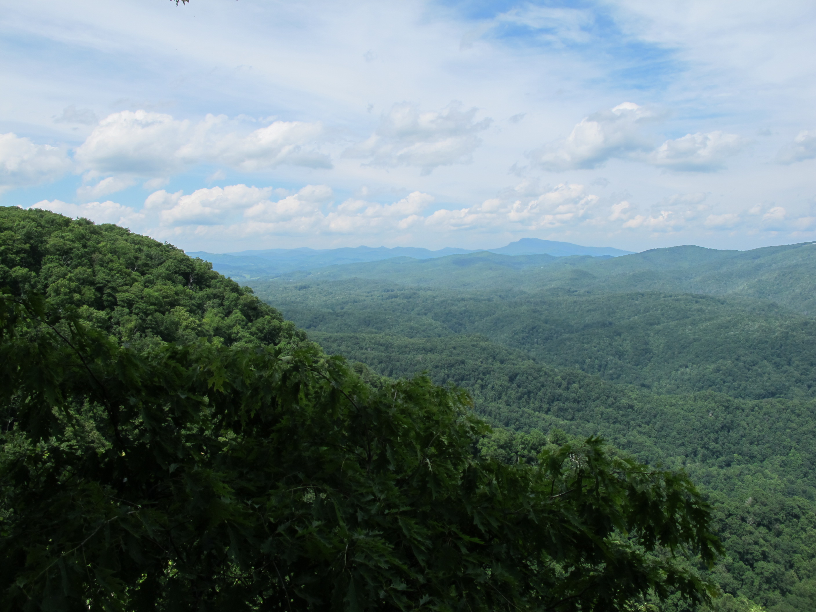 IMG_5719.JPG