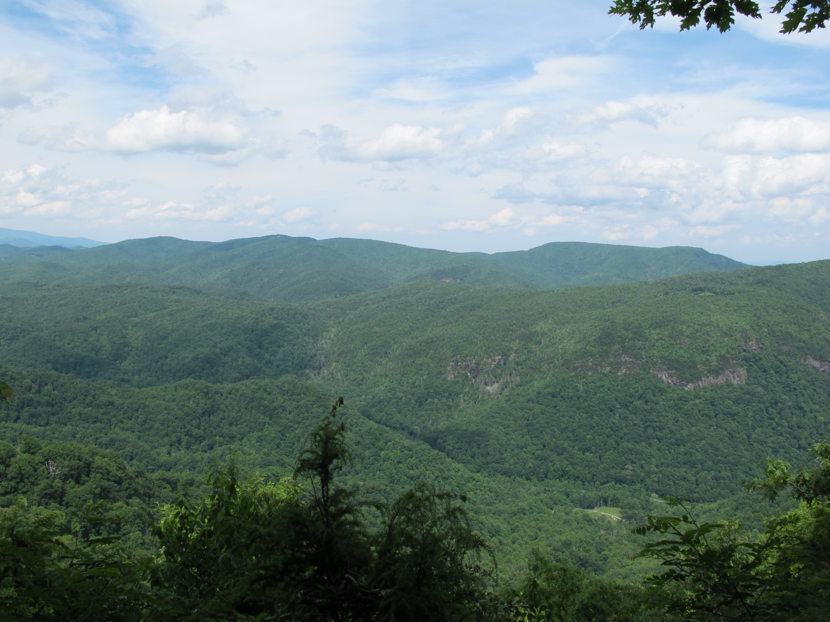 IMG_5722.JPG