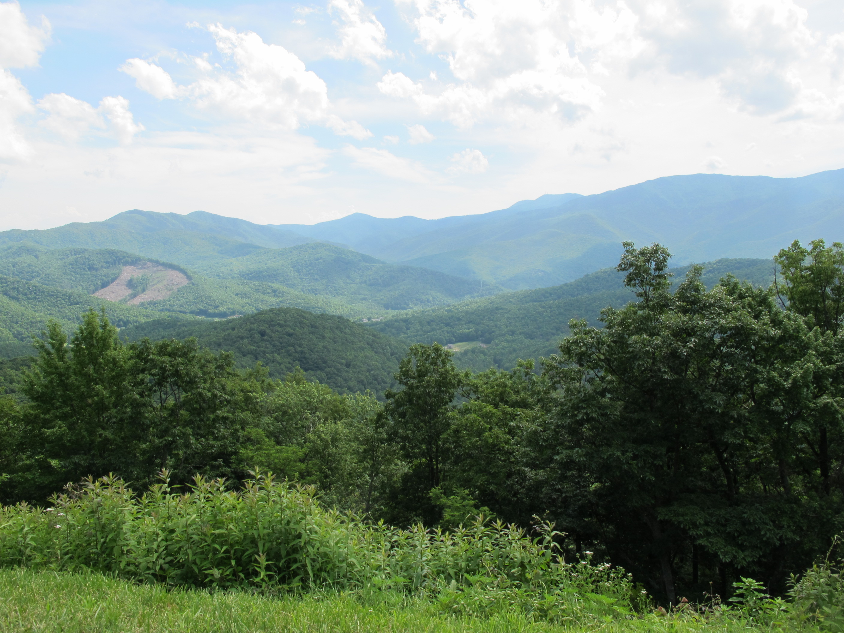 IMG_5725.JPG