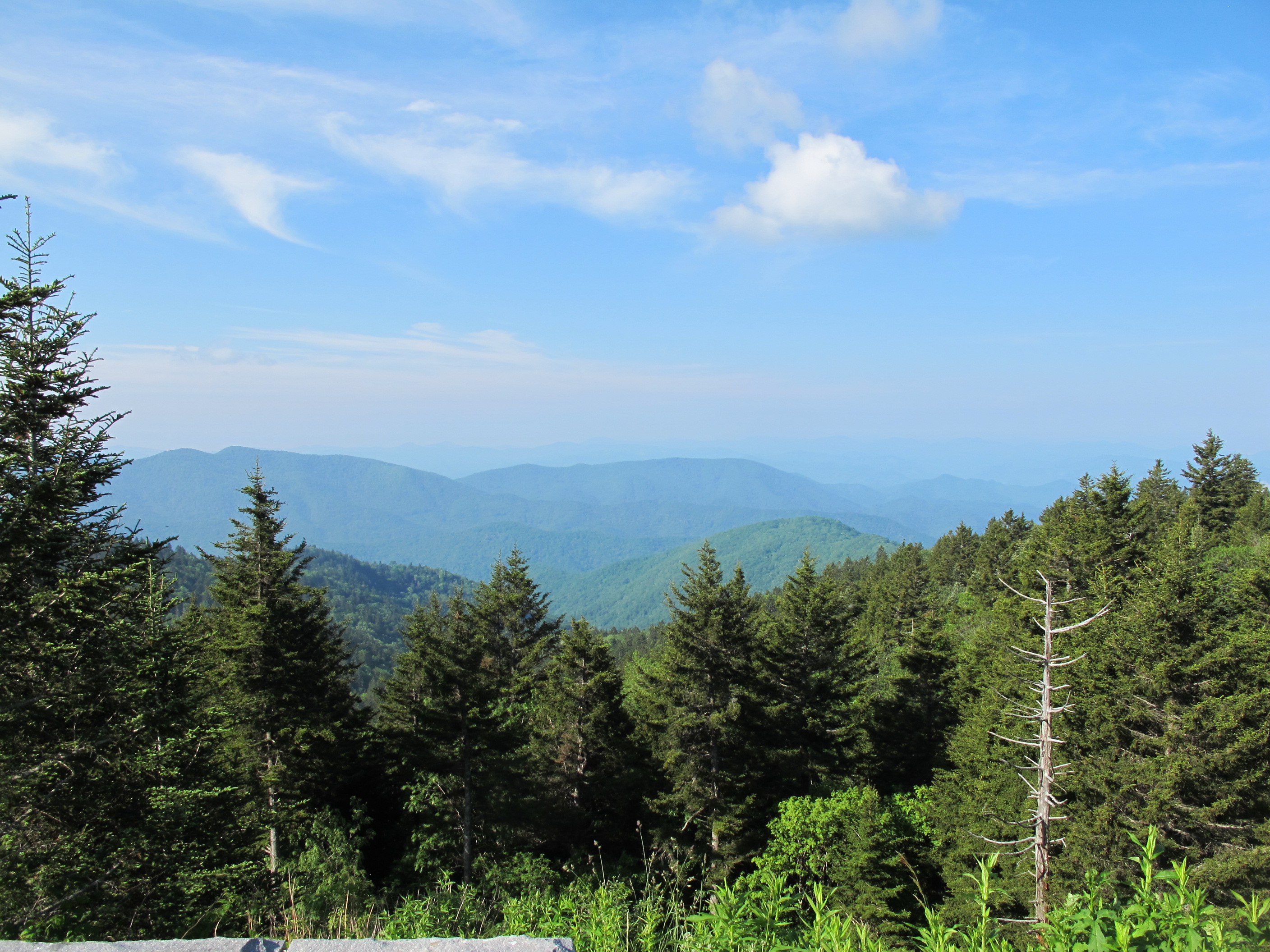 IMG_5738.JPG