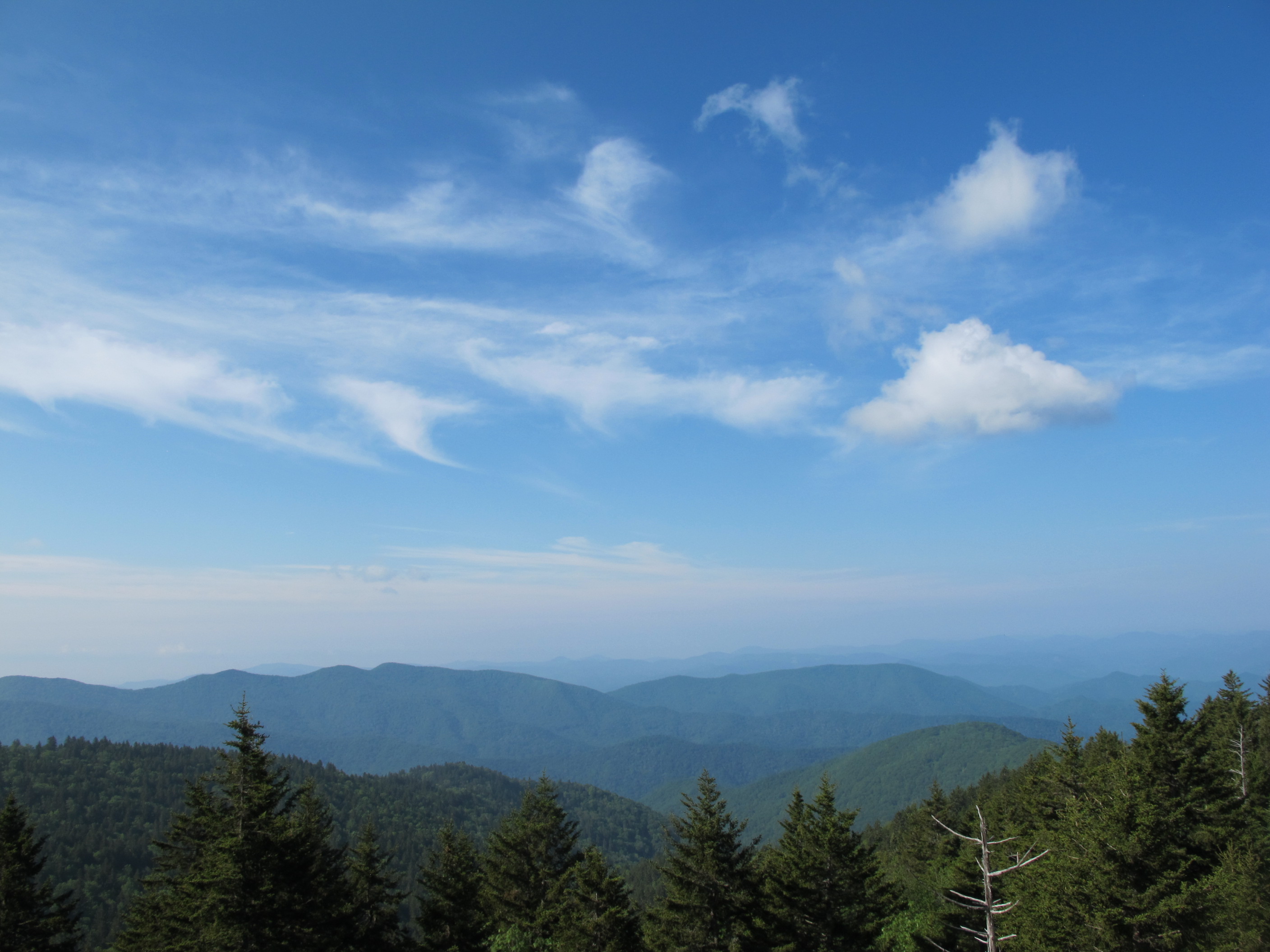 IMG_5739.JPG