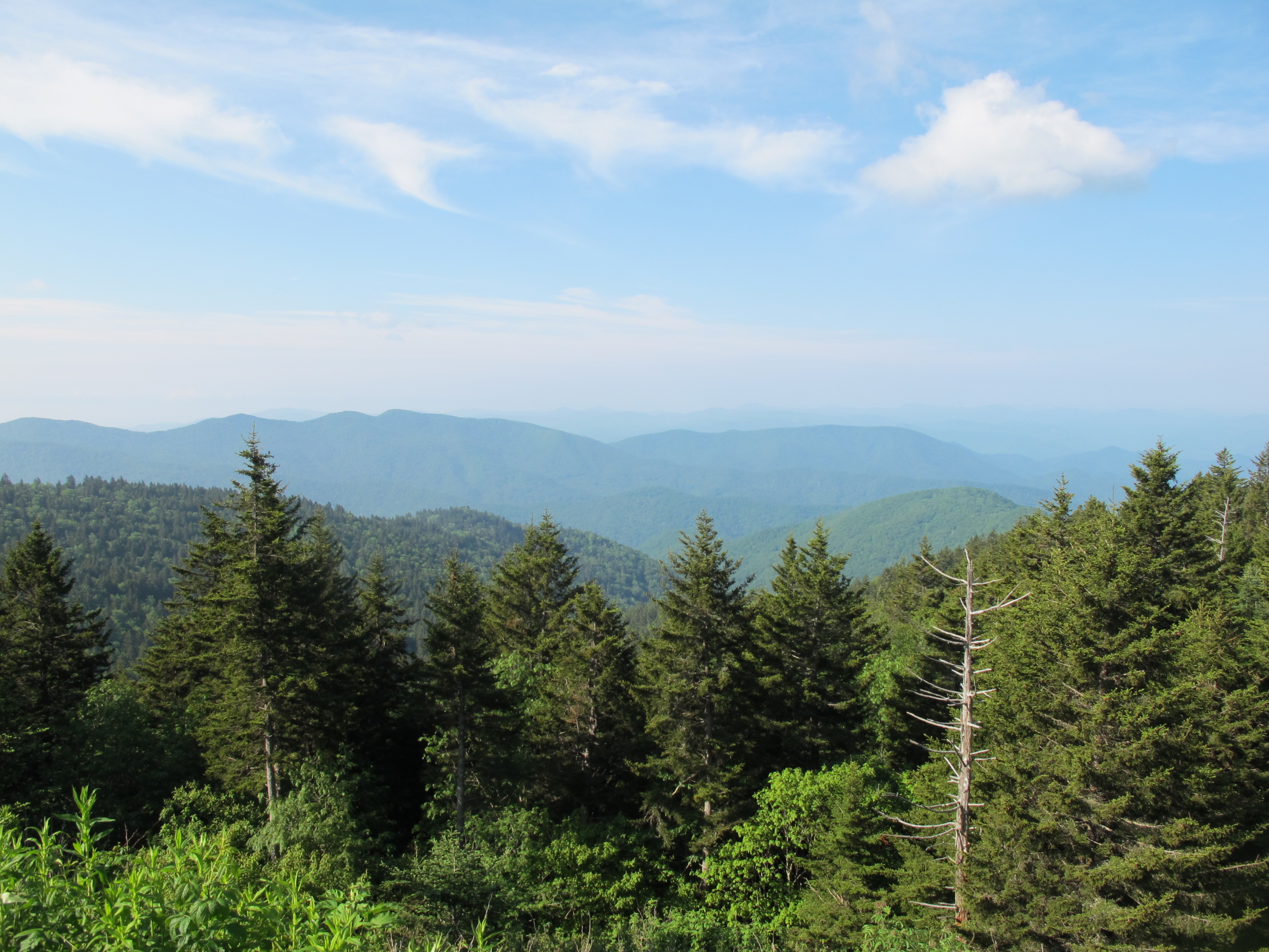 IMG_5740.JPG