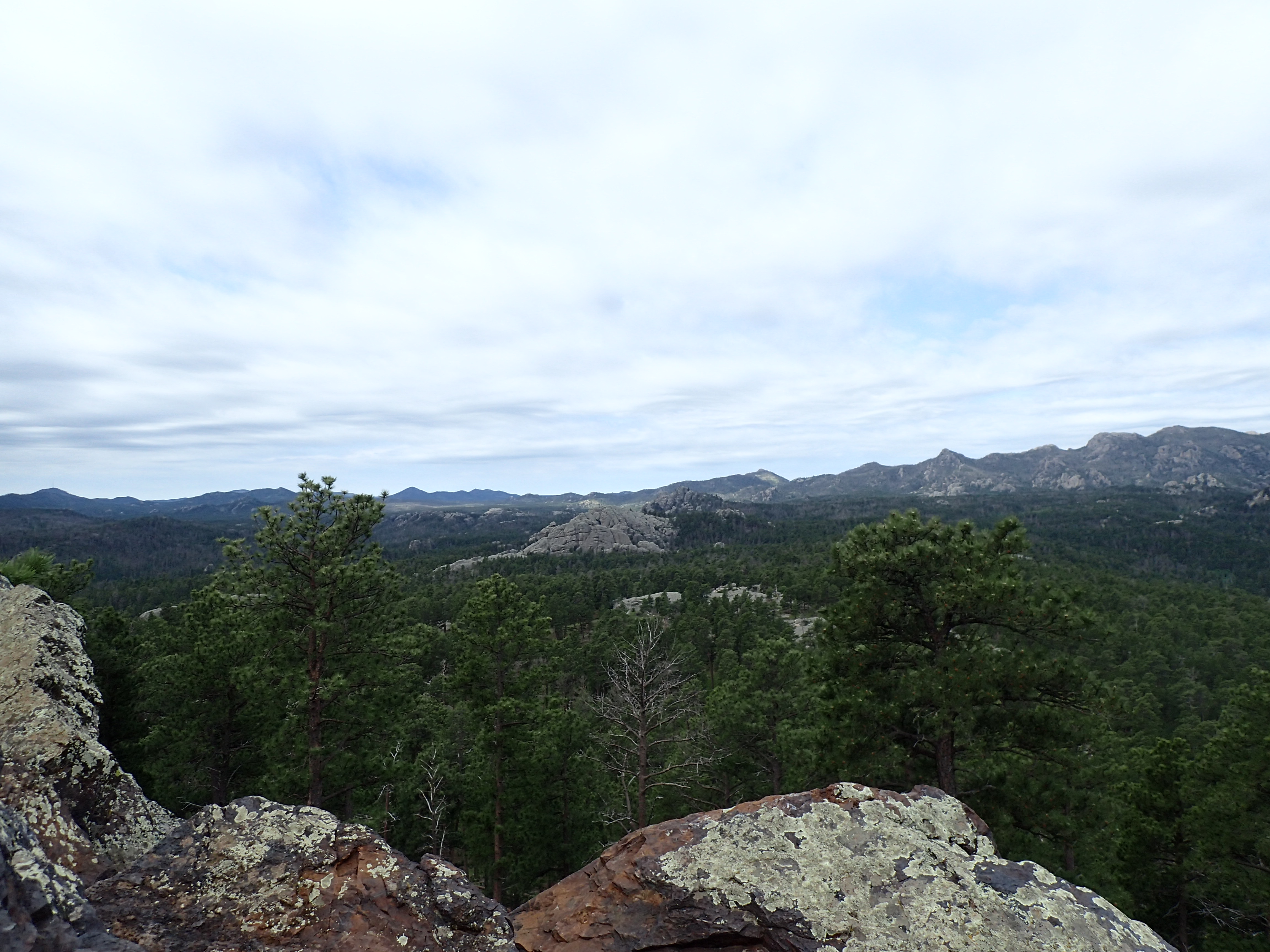 P6110154.JPG