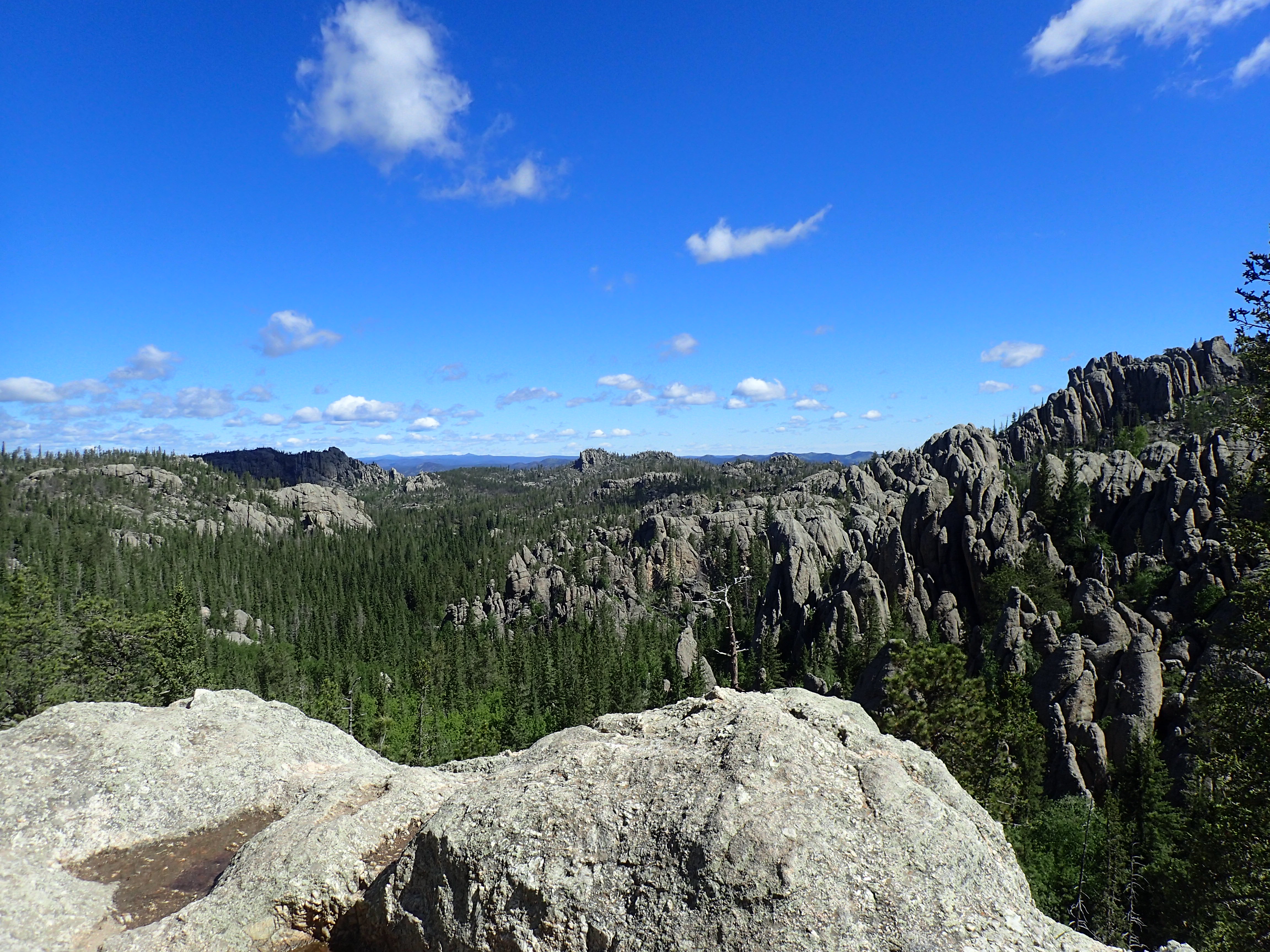 P6130168.JPG