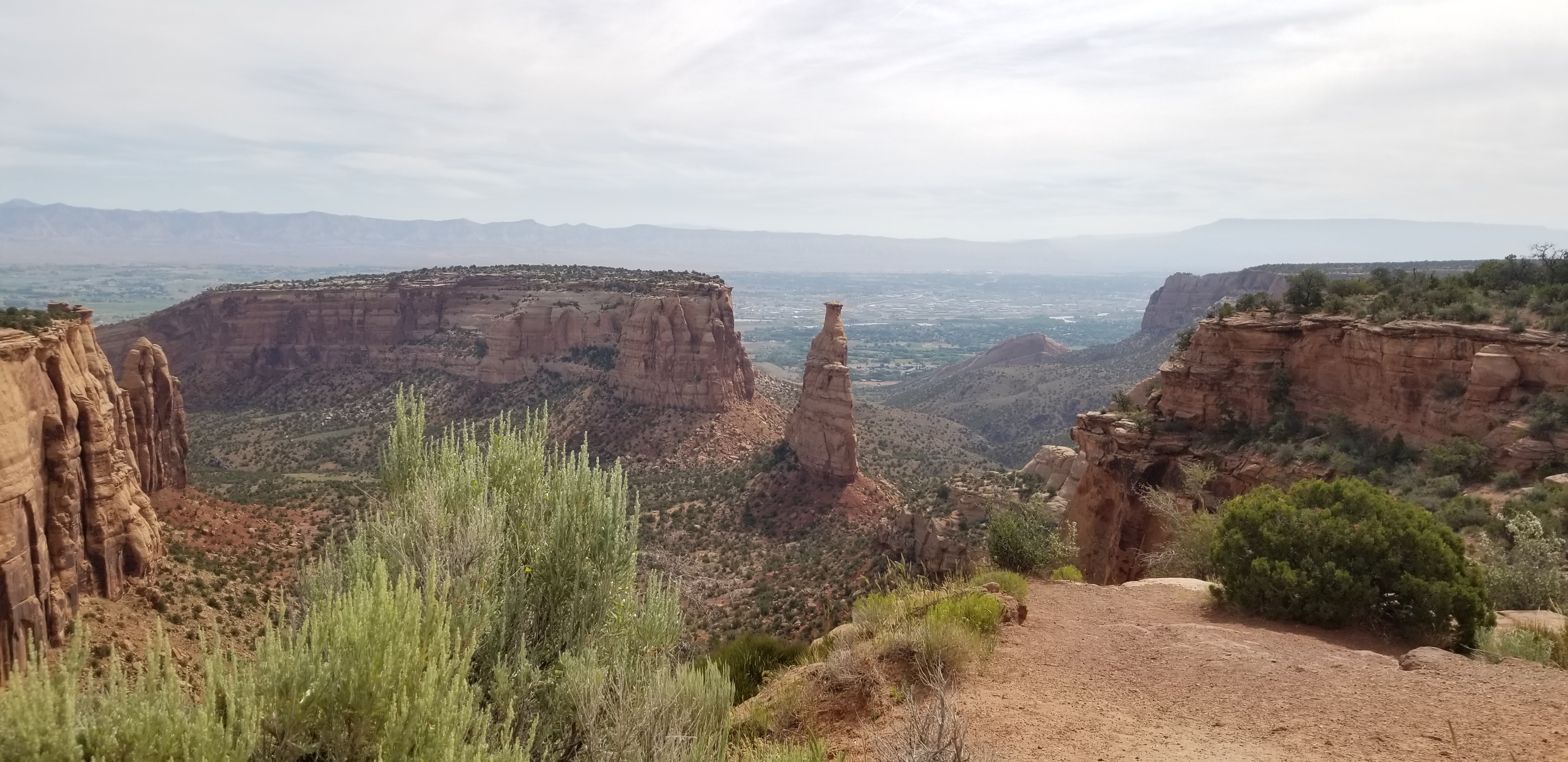 20190625_102402.jpg