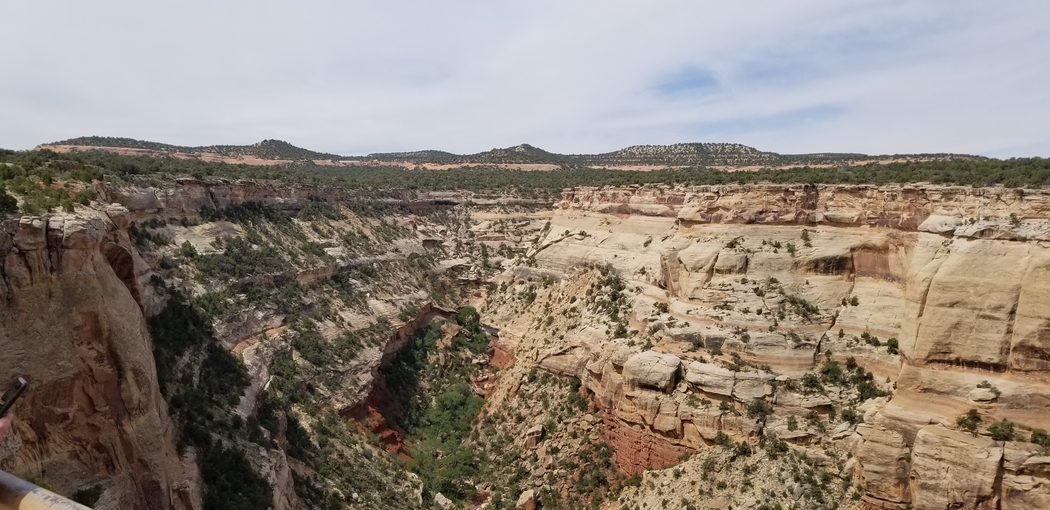 20190625_104940.jpg