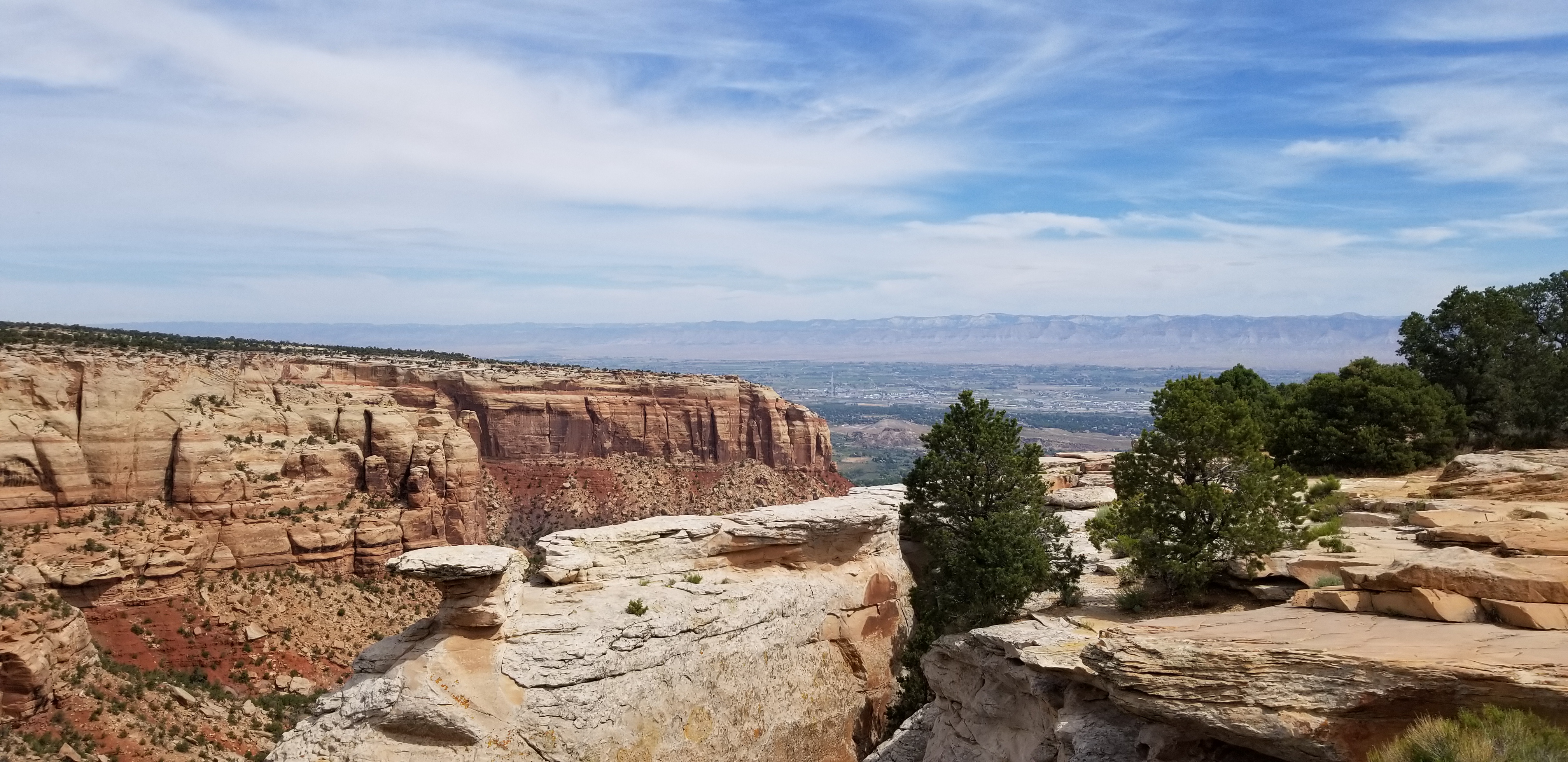 20190625_104953.jpg