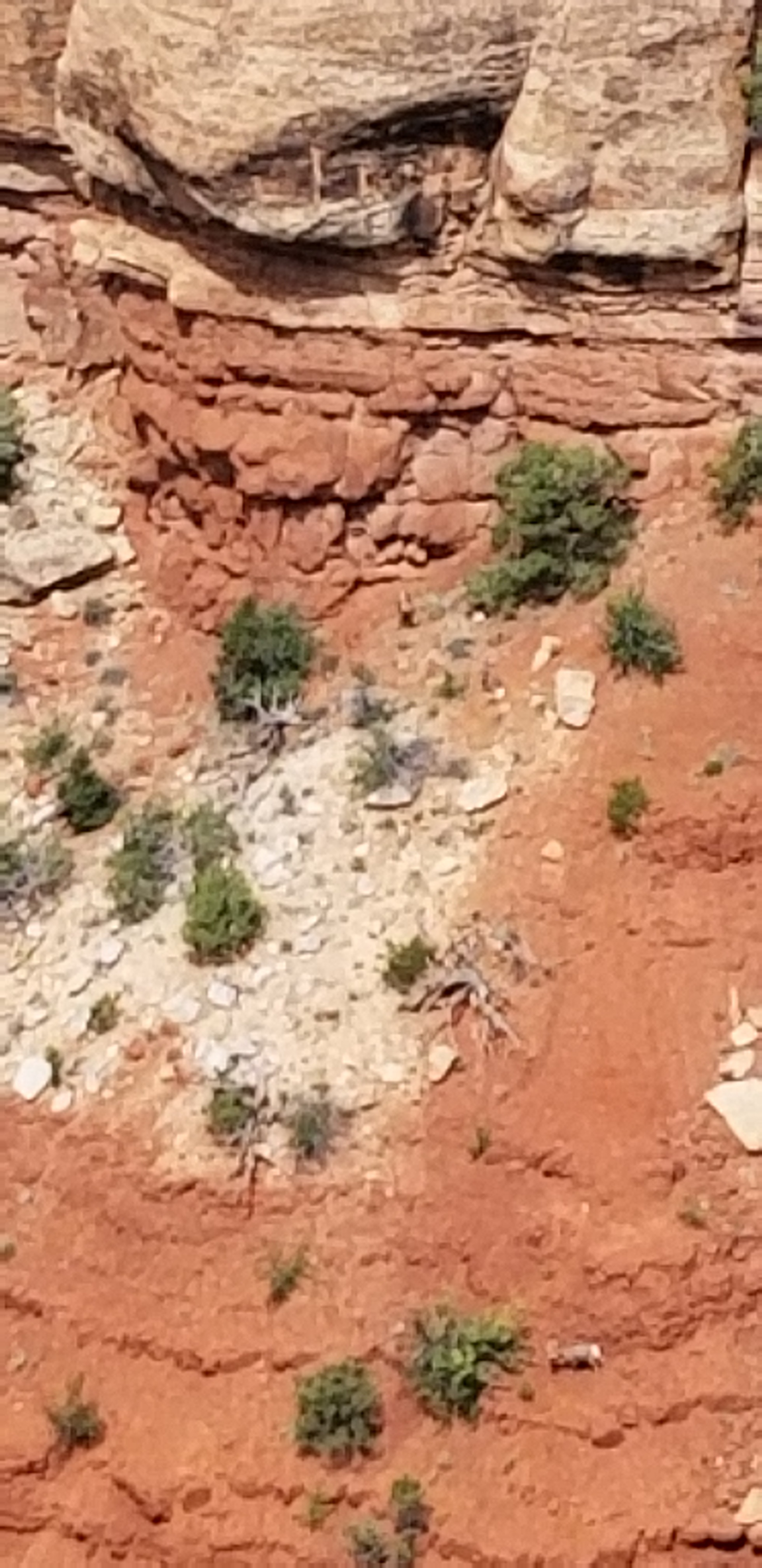 20190625_105353.jpg