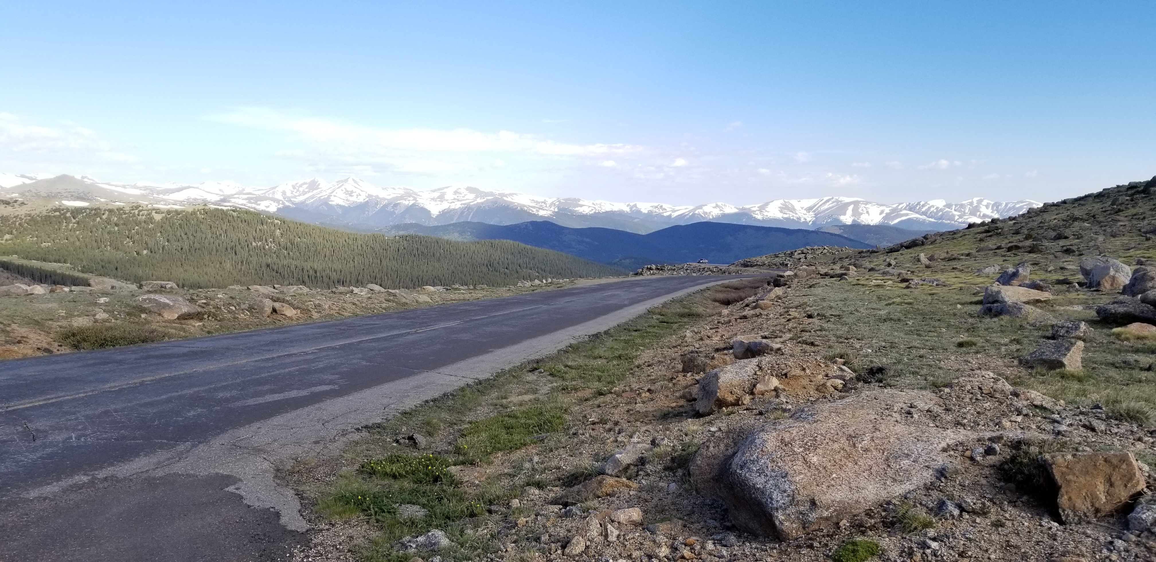 20190627_084709.jpg
