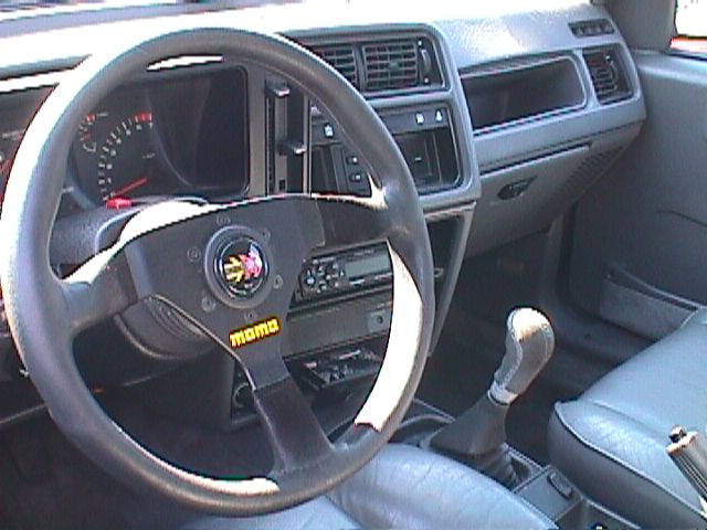 rexschultrich(i).jpg