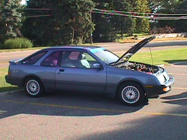 rexschultrich(rf).jpg