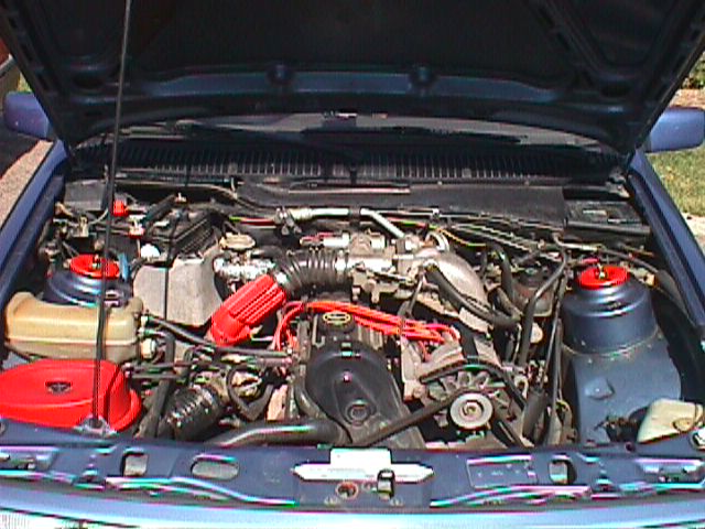 xr(blue).jpg