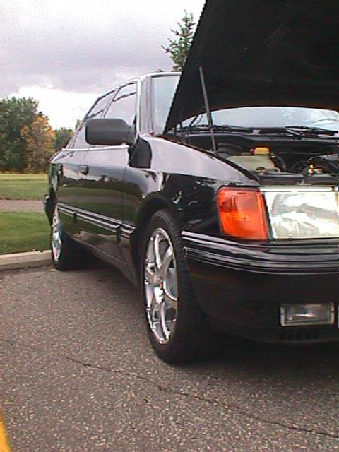 justinabeln(rf).jpg