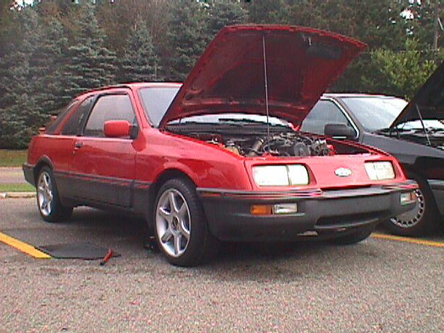 timroman(rf).jpg