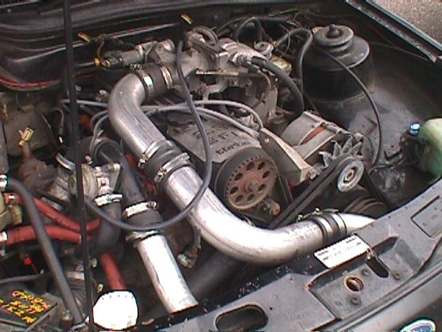 timroman2(e).jpg